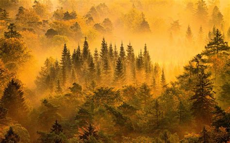 Hintergrundbilder Sonnenlicht Bäume Landschaft Wald Fallen Berge
