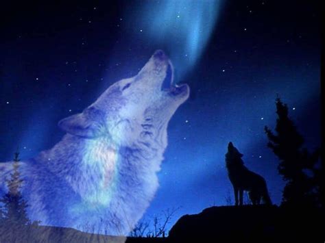 Wolf Howling At The Moon Wallpapers Wallpaper Cave