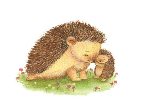 Baby Hedgehog Clipart 20 Free Cliparts Download Images On Clipground 2024