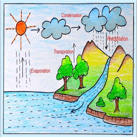 Water Cycle1 Champak Magazine