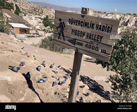 Pigeon Valley Cappadocia Turkey Stock Photo Alamy
