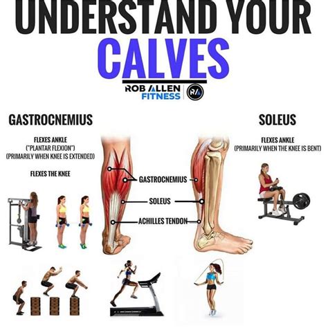 Grow And Sculpt Strong Calves With These Body Weight Exercises GymGuider Com Calf