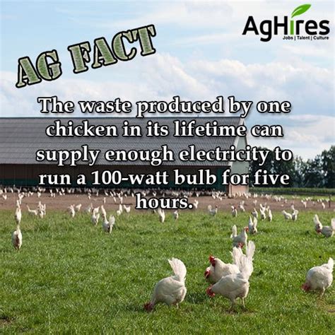 Agriculture Fact From Aghires Agriculture Facts Farm Facts Agriculture Education