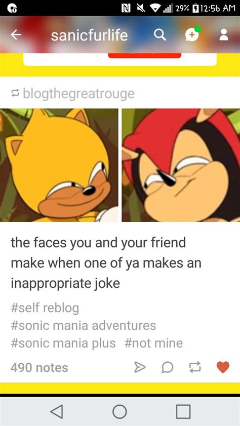Pin On Sonic Memes
