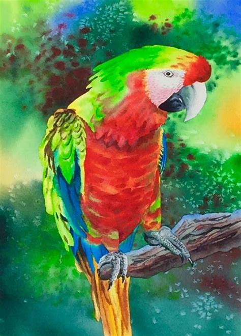 Parrot A 20x16 Original Watercolor Painting Watercolor Paintings
