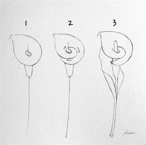 How To Draw Flowers Flower Art Drawing Flower Drawing Flower