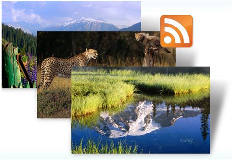50 Bing Slideshow Wallpaper Hd Downloads