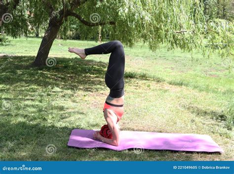 yoga exercise stand on your head photo3 stock image image of exercise yoga 221049605