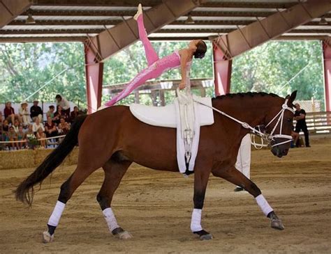 Pin By Sophia Green On Equestrian Vaulting Horse Vaulting Trick