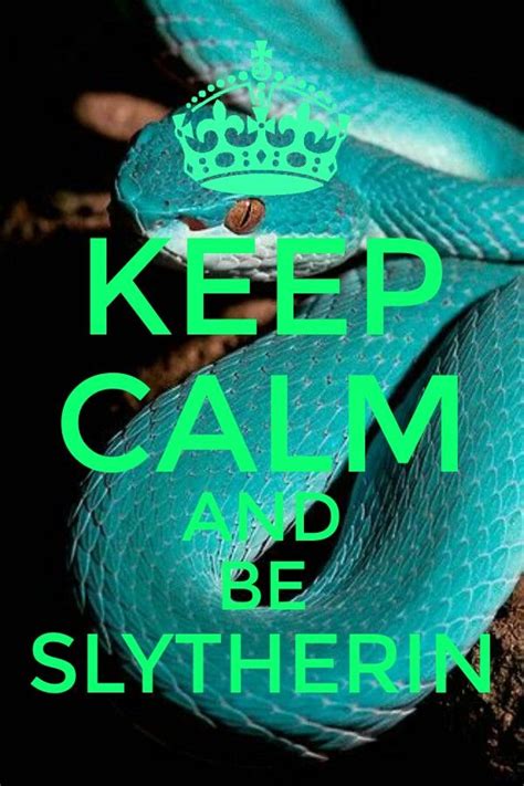 Be Slytherin Harry Potter Draco Malfoy Slytherin Draco Malfoy