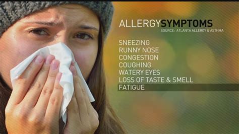 How To Avoiding Autumn Allergies Youtube