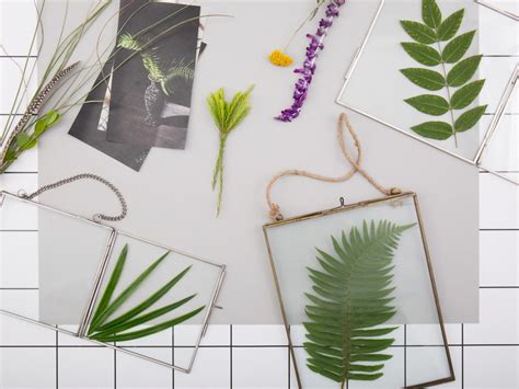 Such an unusual use for modern technology. DIY Pressed Plants in Floating Frames | Room Makeovers to ...