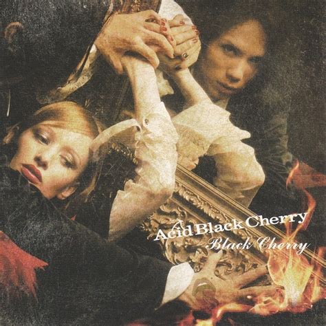 Acid Black Cherry Black Cherry 2007 Cd Discogs