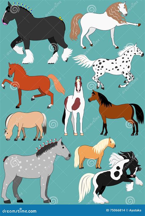Horse Breeds Stock Vector Illustration Of Percheron 75066814