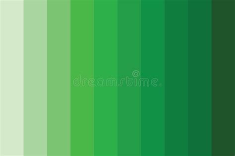 Green Color Palette With Code Color Collection Background Stock Vector