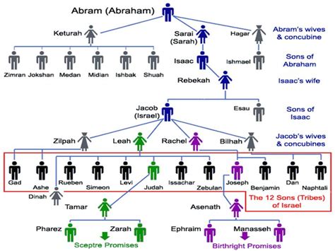 Abraham Genealogy Bible Facts Bible Timeline Scripture Study