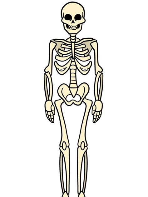 Easy Skeleton Step By Step Tutorial Easy Drawing Guides
