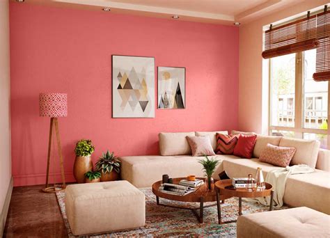 Rose Meadows 9406 House Wall Painting Colour Asian Paints