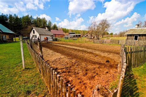 Domain name registrations, email accounts, web services. 5 Critical Questions Before You Build That Homestead - Off ...