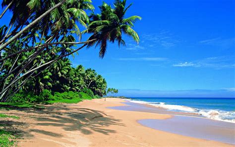 Sri Lanka Beach Wallpaper Nature And Landscape Wallpaper Better