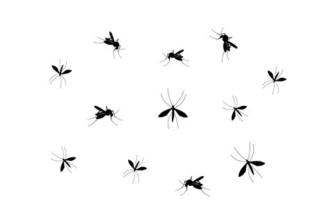 Mosquito Graphic By Edywiyonopp · Creative Fabrica