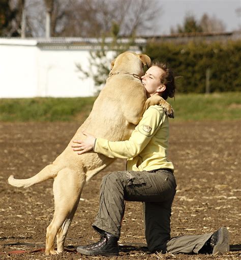 Fotos Gratis Gente Niña Mujer Blanco Perrito Perro Animal