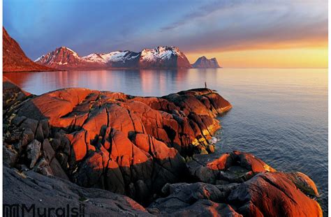 Ocean Mountain Panorama Sunset Norway Wall Mural