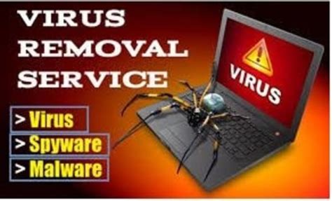 5 Things To Look Out For In A Virus Removal Company
