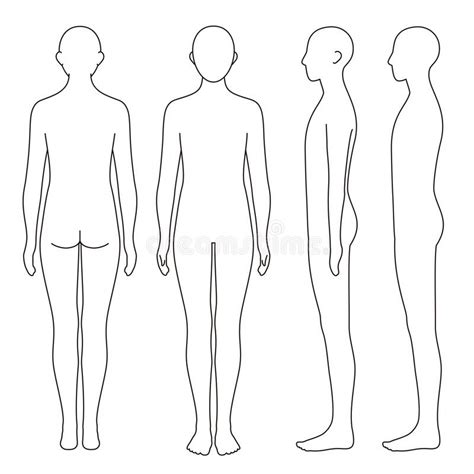 Human Body Outline Front Back Stock Illustrations 645 Human Body