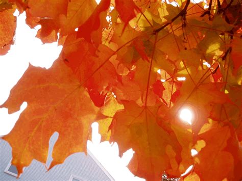 Log in to save gifs you like, get a customized gif feed, or follow interesting gif creators. The D-Vine: My Top 5 Fall Favorites