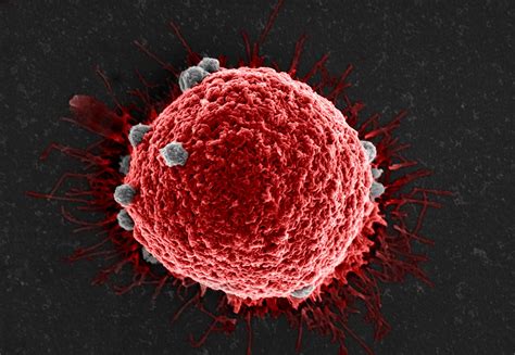 A New Weapon For The War On Cancer A Broad Spectrum Circulating Tumor