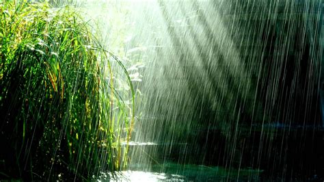 Rainy Background ·① Download Free Beautiful Full Hd Backgrounds For