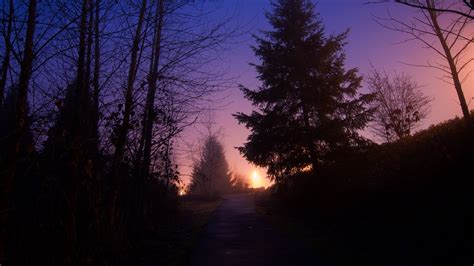 Beautiful Twilight Path In The Forest Xfxwallpapers