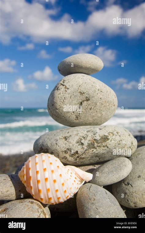 Seashell And Pebble Stack By The Sea Stock Photo Alamy