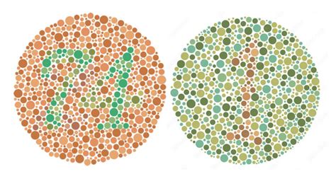 Ishihara Test How To Test For Color Blindness Gypsum Vision