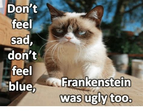 Dont Feel Sad Dont Feel Blue Frankenstein Was Ugly Too