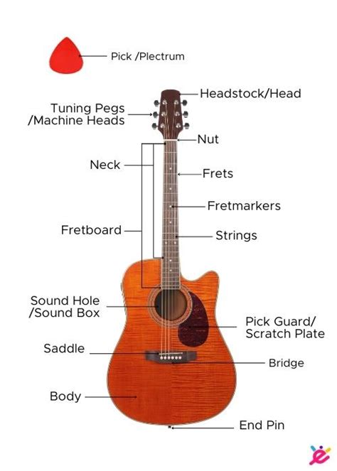 All The Parts Of A Guitar Explained With Diagram