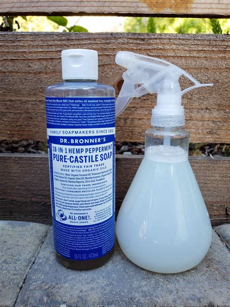 Homemade Organic Garden Soap Spray Recipe Kill Aphids