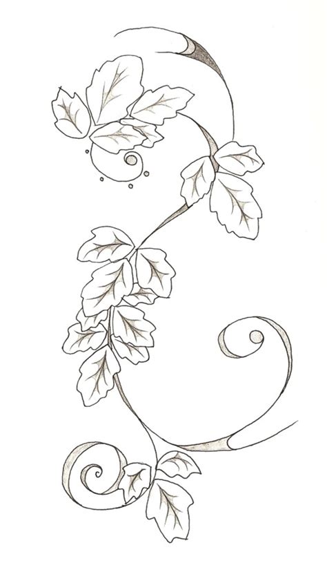 Poison Ivy Plant Drawing At Getdrawings Free Download