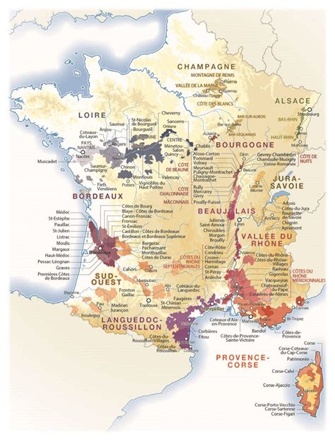 Upplevelse Frankrike Runt Boka Ostprovning Och Vinprovning Franska