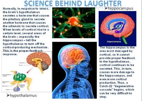 The Science Of Laughter And Why Its Good For You
