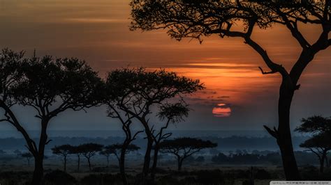 ✓ free for commercial use ✓ high quality images. Sunrise in Masai Mara, Kenya, Africa Ultra HD Desktop ...