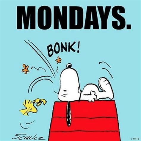 Dont Tell Me Its Monday Again Dude Snoopy Funny Snoopy Snoopy Love