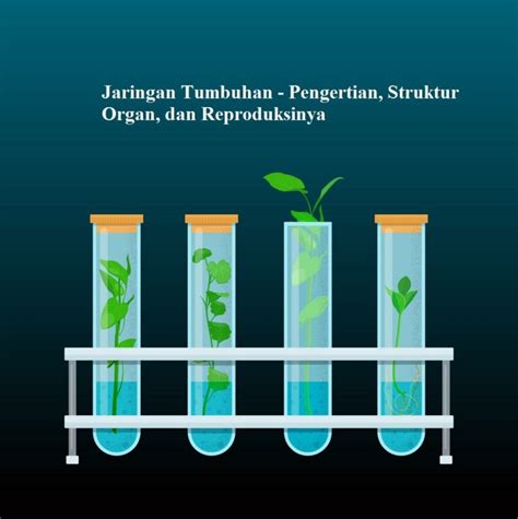 Maybe you would like to learn more about one of these? Jaringan Tumbuhan - Pengertian, Struktur Organ, dan ...