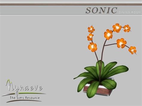 Sonic Dining Room Orchid Found In Tsr Category Plants Sims 4 Cc