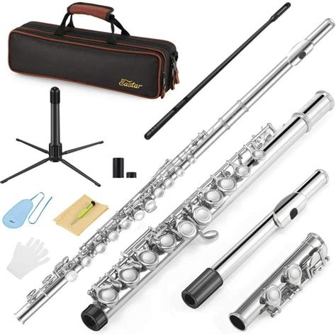 Eastar C Flutes Closed Hole C Flute Musical Instrument With Cleaning