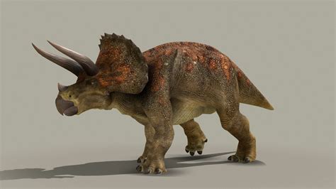 Triceratops Horridus Buy Royalty Free 3d Model By Kyan0s 4cdcba9 Sketchfab Store