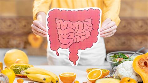 What Is Gut Health Why Is Gut Health Important Foods To Maintain A