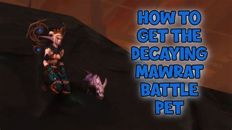 WoW Shadowlands How To Get The Decaying Mawrat Battle Pet Fallen