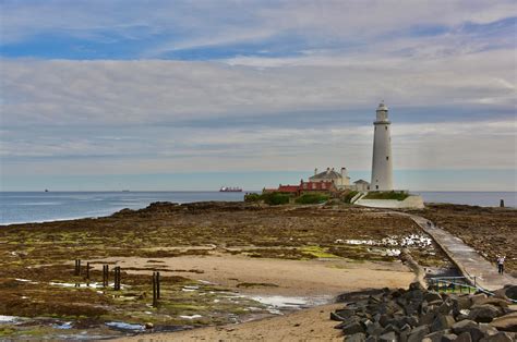 Your View Views Of Tynemouth And St Marys Lighthouse Inyourarea